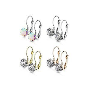 Pair of Prong Set Round CZ Lever Back Stainless Steel Earrings